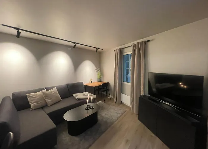 Newly Renovated Apartment In The Middle Of Trondheim City Centre